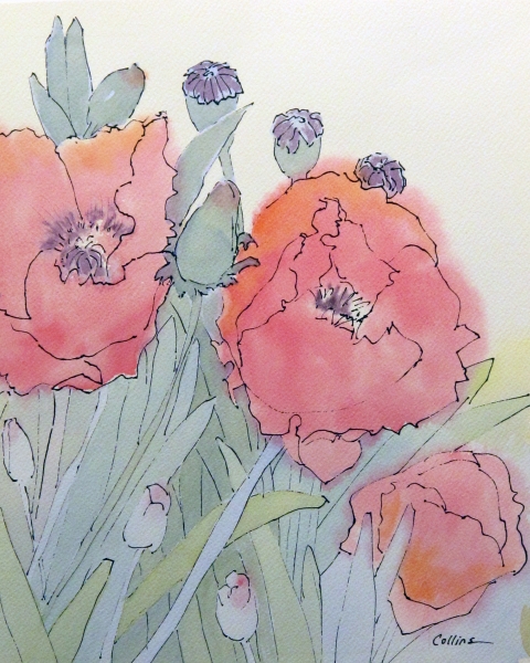 Click here to view PINK POPPIES WATERCOLOR by Jane Wallor Collins
