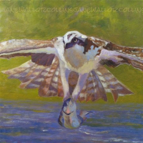 Click here to view OSPREY WITH FISH by Jane Wallor Collins