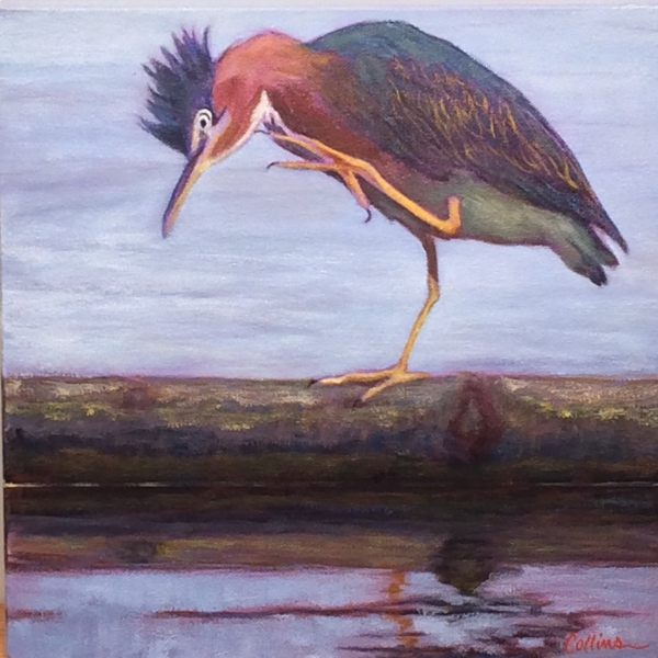 Click here to view GREEN HERON HAVING A SCRATCH by Jane Wallor Collins