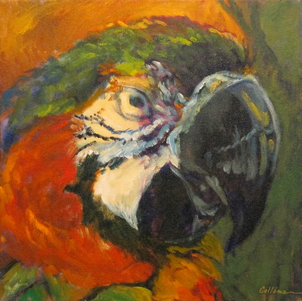 Click here to view MISTER P by Jane Wallor Collins