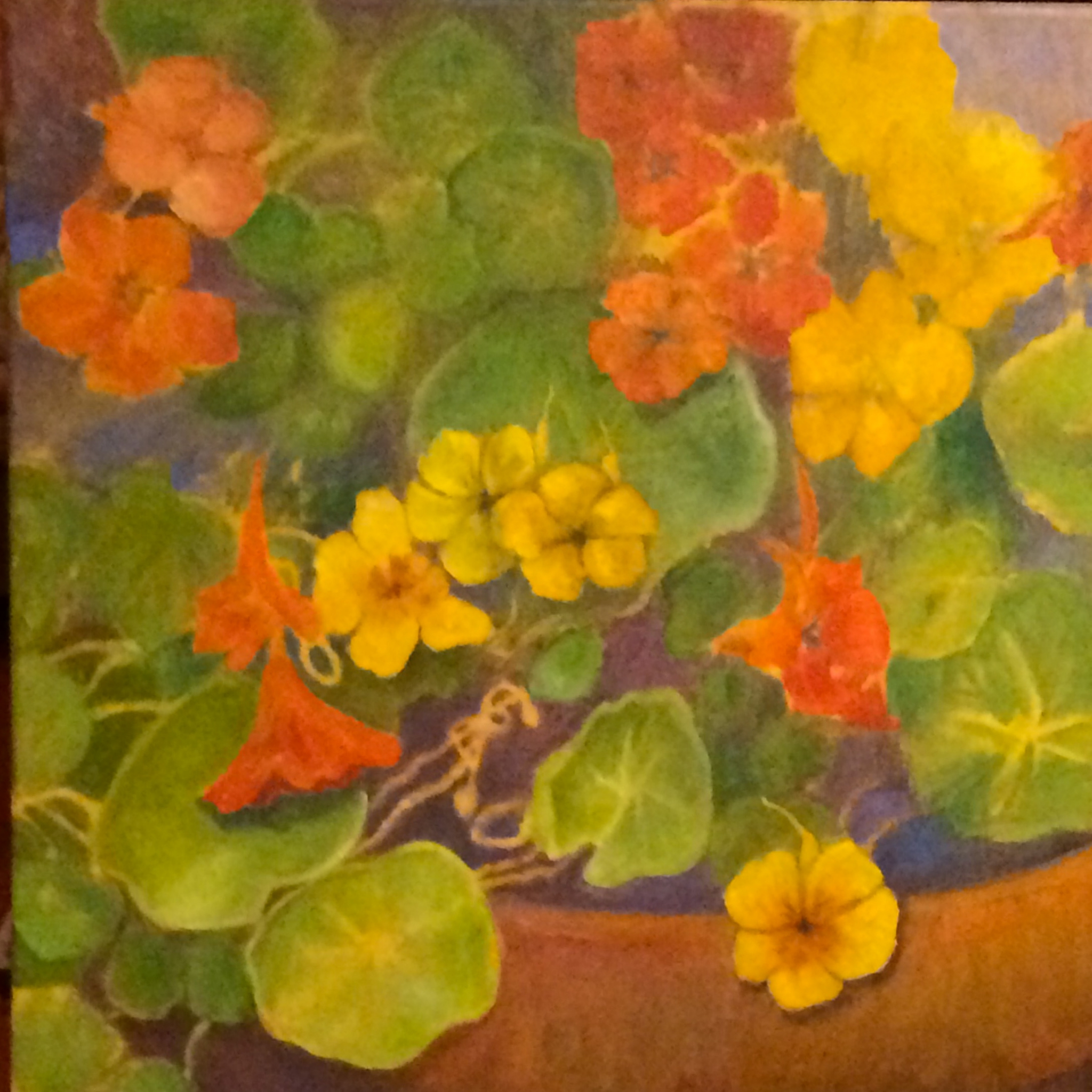 Click here to view NASTURTIUMS by Jane Wallor Collins