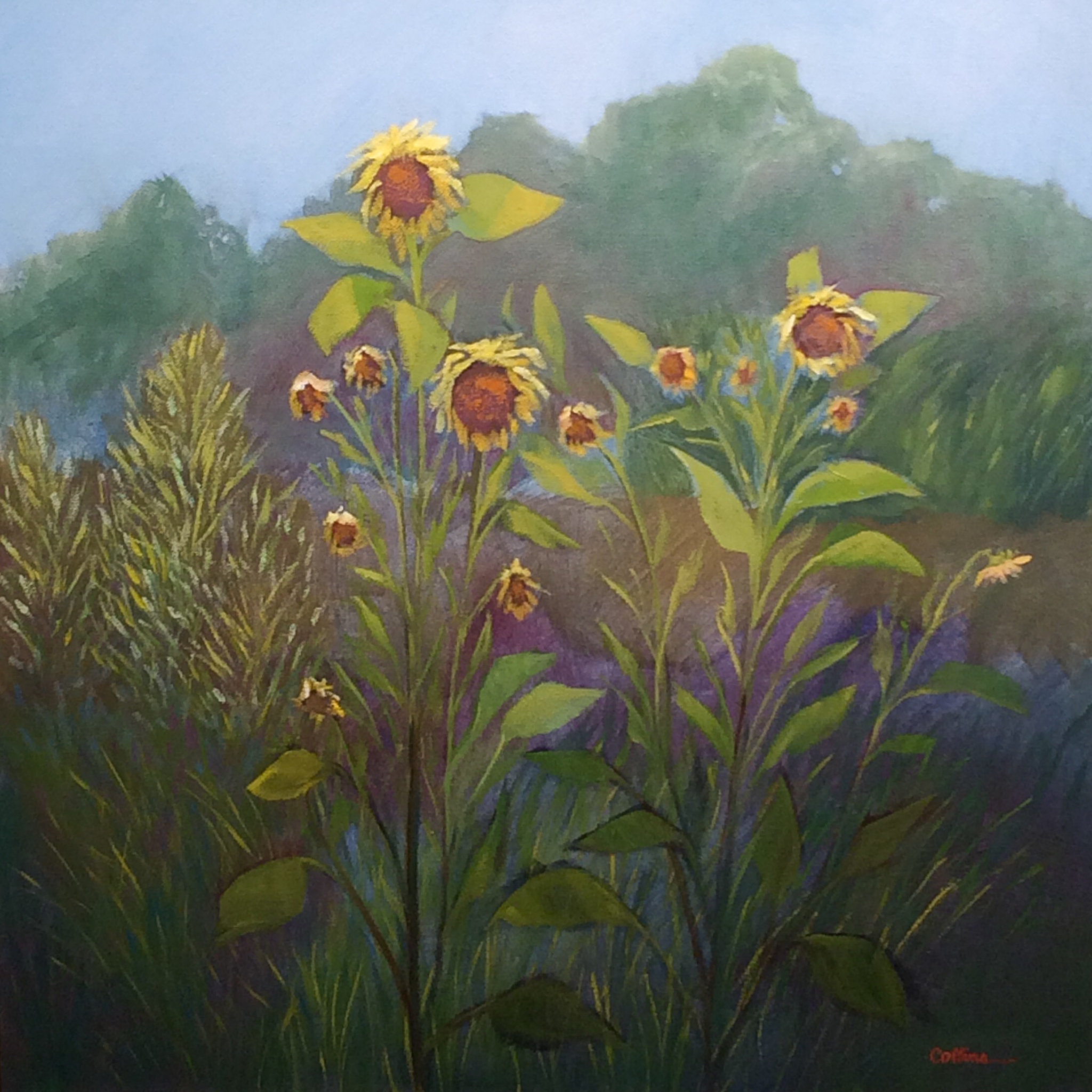Click here to view SUNFLOWERS by Jane Wallor Collins
