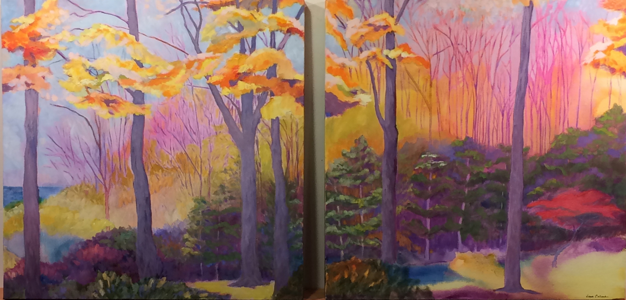 Click here to view LAST COLOR AT THE LAKE by Jane Wallor Collins