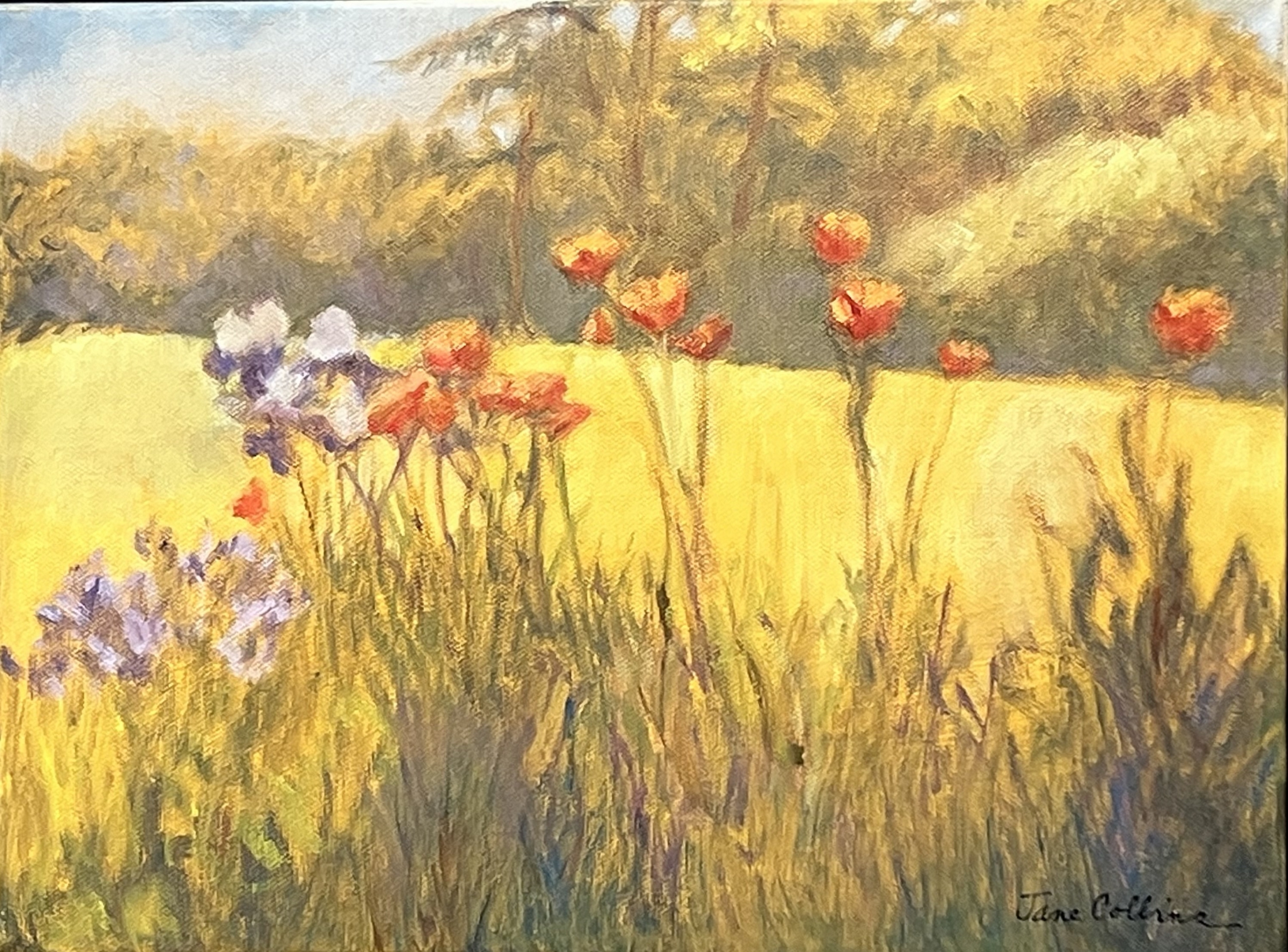Click here to view POPPIES, IRIS, CHIVES by Jane Wallor Collins