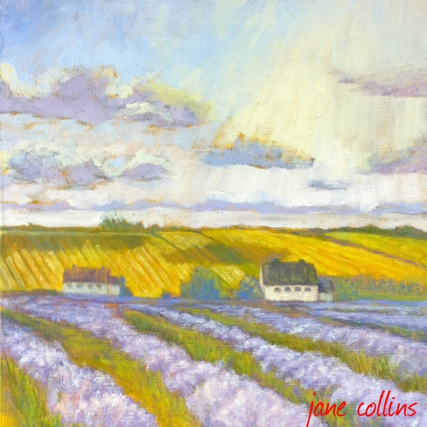 Click here to view LAVENDER FIELDS, PROVENCE by Jane Wallor Collins