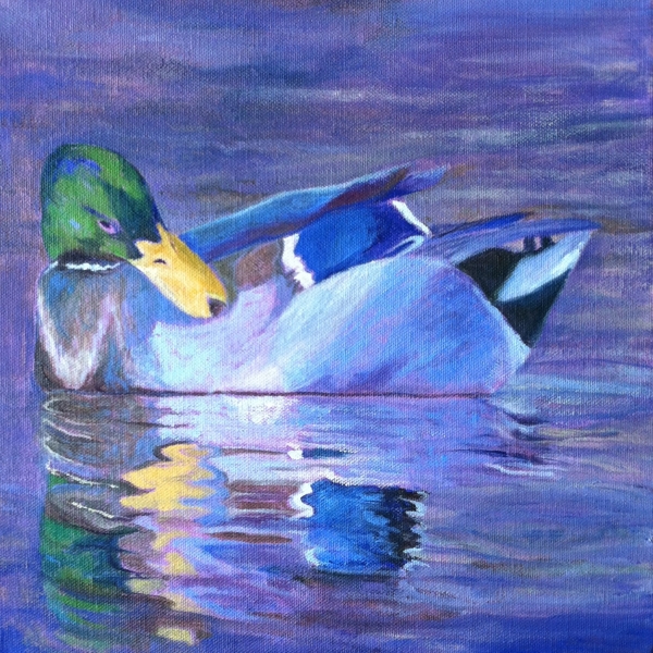 Click here to view MALLARD, PREENING by Jane Wallor Collins