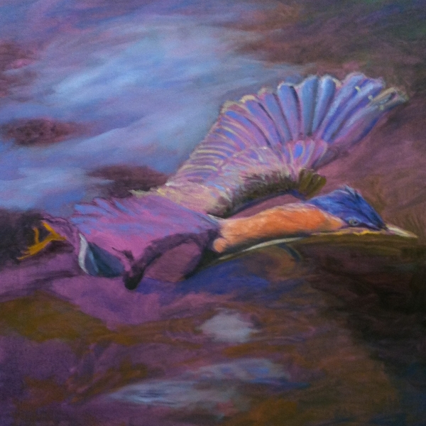 Click here to view GREEN HERON ON TAKEOFF by Jane Wallor Collins