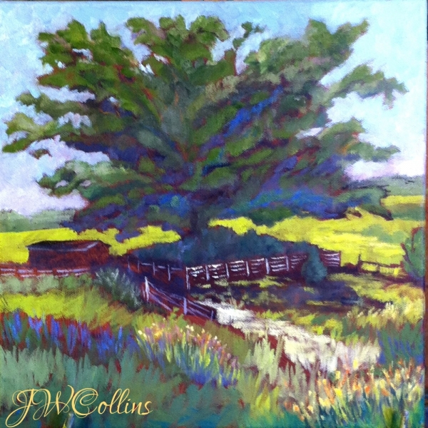 Click here to view WOLF TREE, HORSEBARN HILL by Jane Wallor Collins